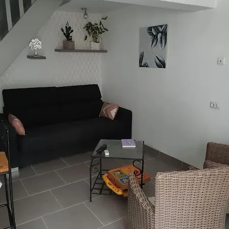 Chaleureux Appartement *